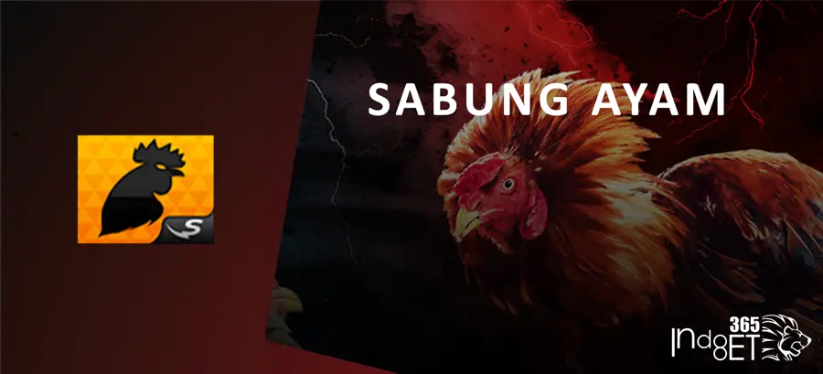 sabung ayam indobet365